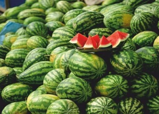 فیلمی از خودنمایی هنداونه شب یلدا در میوه فروشی‌های شهرستان اهر