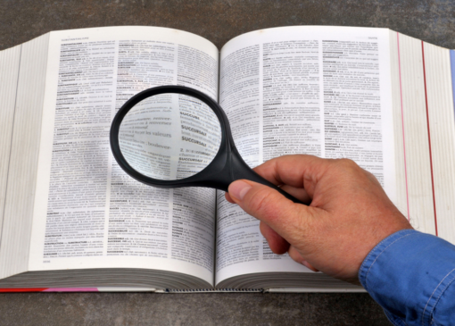 ۱۰ کلمه‌ای که فرانسوی‌ها سال ۲۰۲۵ در فرهنگ لغت آنلاین جست‌و‌جو کردند