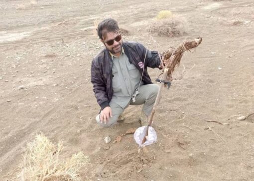 آغاز جمع‌آوری تله‌های غیرمجاز و پایش پرندگان مهاجر در سیستان و بلوچستان