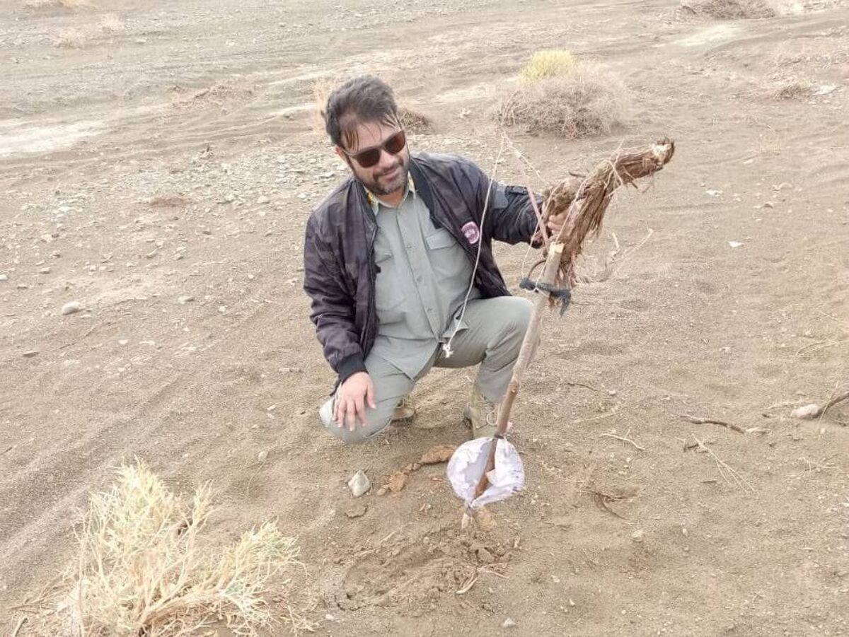 آغاز جمع‌آوری تله‌های غیرمجاز و پایش پرندگان مهاجر در سیستان و بلوچستان