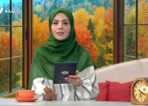 محدودیت دسترسی کودکان به شبکه‌های اجتماعی در سوئیس + فیلم