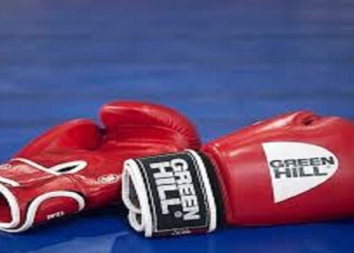 کسب مدال نقره توسط شیرین میرزا صالح بوکسور شهرستان اسکو