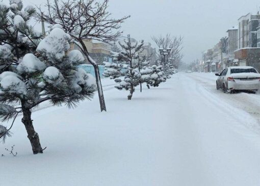 سقز با بارش برف سفیدپوش شد + فیلم