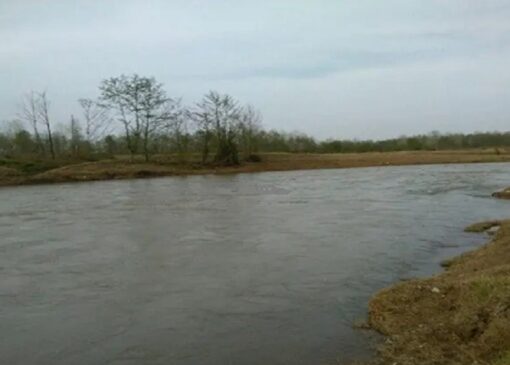 کشف پیکر بی‌جان مردی جوان در سفیدرود گیلان