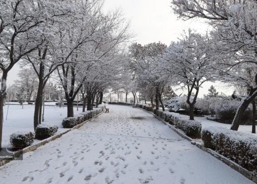 بارش برف در زنجان