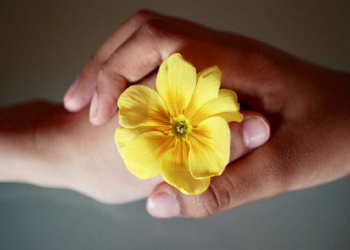 احترام متقابل؛ کلید آرامش در خانواده و جامعه