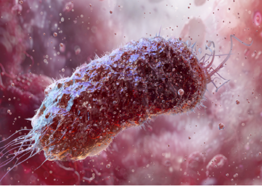 یک پیشرفت پزشکی: تعیین شاخص اولیه بیماری التهابی روده (IBD)