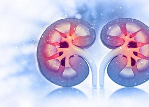 سلامت مغز با عملکرد کلیه‌ها مرتبط است