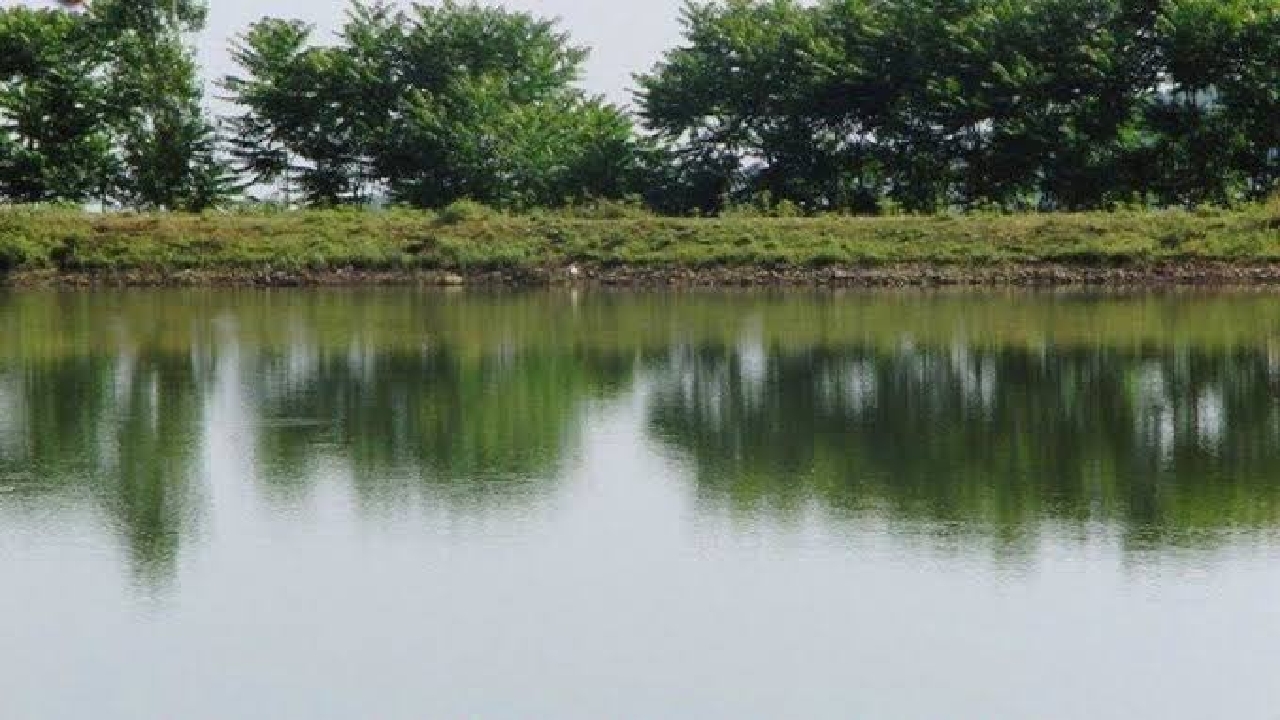 ضرورت بهره گیری از شیوه های مدرن و علمی در مدیریت آب بندان‌های گیلان