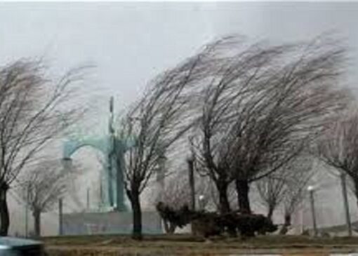 تداوم باد شدید تا روز چهارشنبه در اردبیل