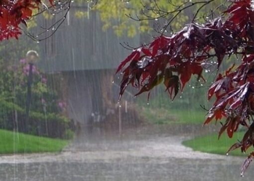 حوضه‌های خلیج فارس و دریای عمان و حوضه دریاچه ارومیه دارای بیشترین مقدار بارش در هفته جاری