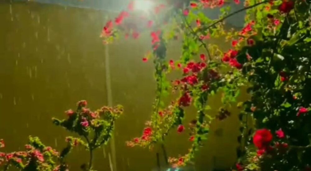 فیلمی از بارش رحمت الهی در آسمان خنج