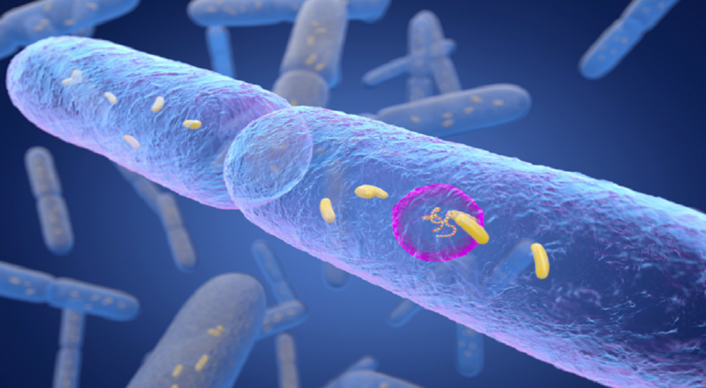 باکتری‌های روده نقش محافظتی در برابر دیابت دارند