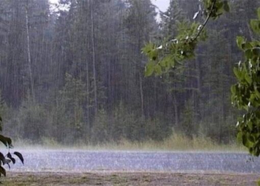 بارش باران رحمت الهی در شهرستان رابر