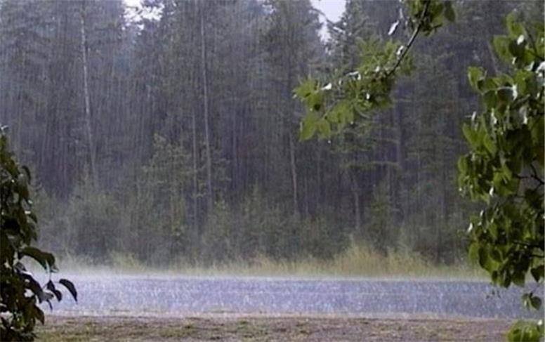 بارش باران رحمت الهی در شهرستان رابر