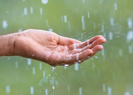 بارش باران در خوزستان + فیلم