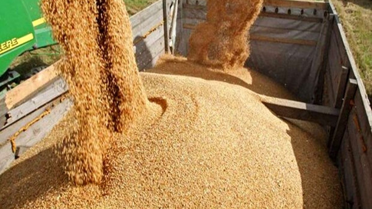 ورود بیش از ۱۲۱ میلیون کیلوگرم نهاده دامی در استان با نظارت دامپزشکی