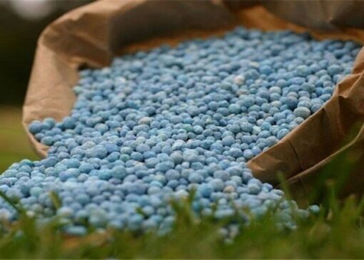 افزایش ۲۱ درصدی واردات و توزیع کود شیمیایی در کردستان/ تمامی ‏کشاورزان سهمیه خود را دریافت کردند