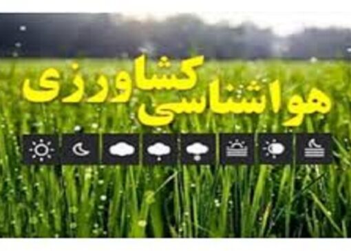 ضرورت عایق بندی مناسب لوله‌های سامانه‌های نوین آبیاری