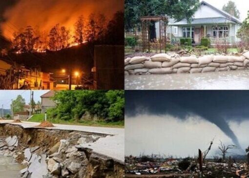 تبدیل «تهدید مجازی» به «فرصت واقعی»؛ هنرِ مدیریت بحران