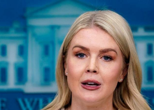 کاخ سفید: ترامپ و پوتین گفت‌وگوی مثبتی درباره اوکراین داشتند 