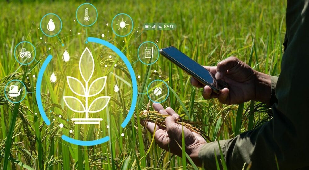 استفاده از هوش مصنوعی در تحقیقات گیاه‌پزشکی ضروری است