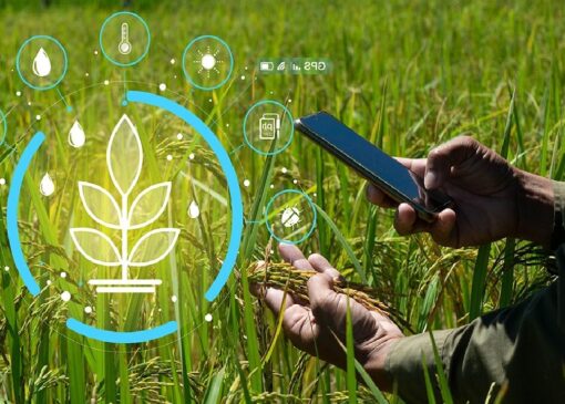 استفاده از هوش مصنوعی در تحقیقات گیاه‌پزشکی ضروری است