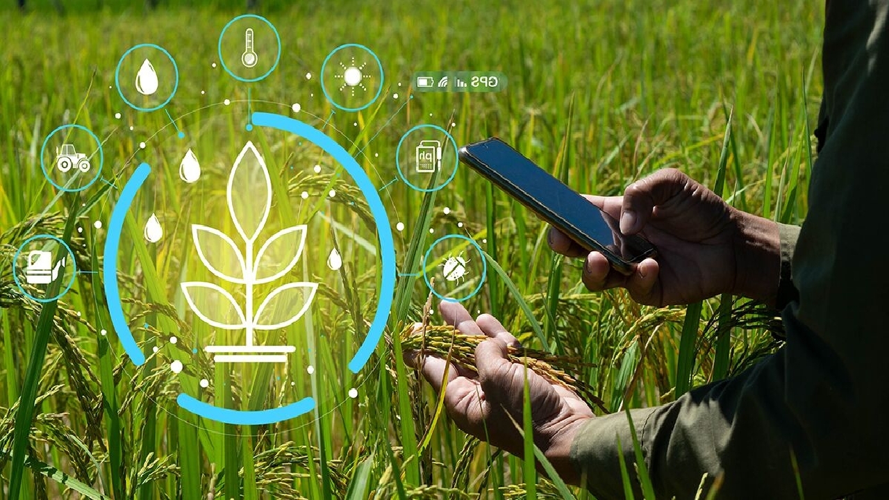 استفاده از هوش مصنوعی در تحقیقات گیاه‌پزشکی ضروری است