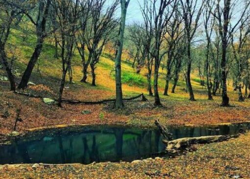 احراز شهادت محیط‌بانان پارک ملی گلستان