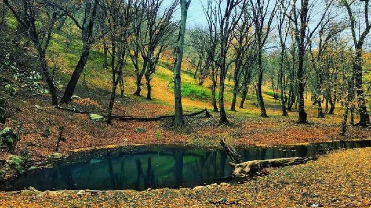 احراز شهادت محیط‌بانان پارک ملی گلستان