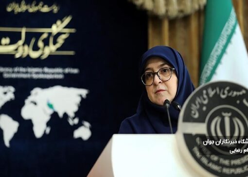 سخنگوی دولت: همتی با نظر خبرگان بانکی رئیس بانک مرکزی شد