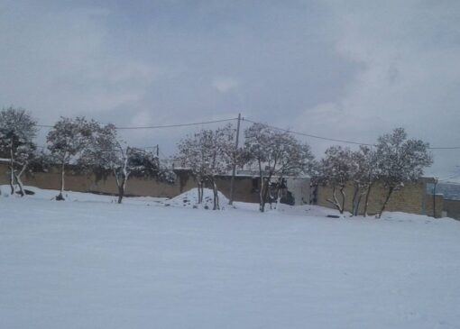 جلوه زیبای زمستانی روستای زیارت گرگان از لنز دوربین شهروندخبرنگار
