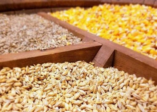 نهاده موجود در بنادر بیش از نیاز کشور است