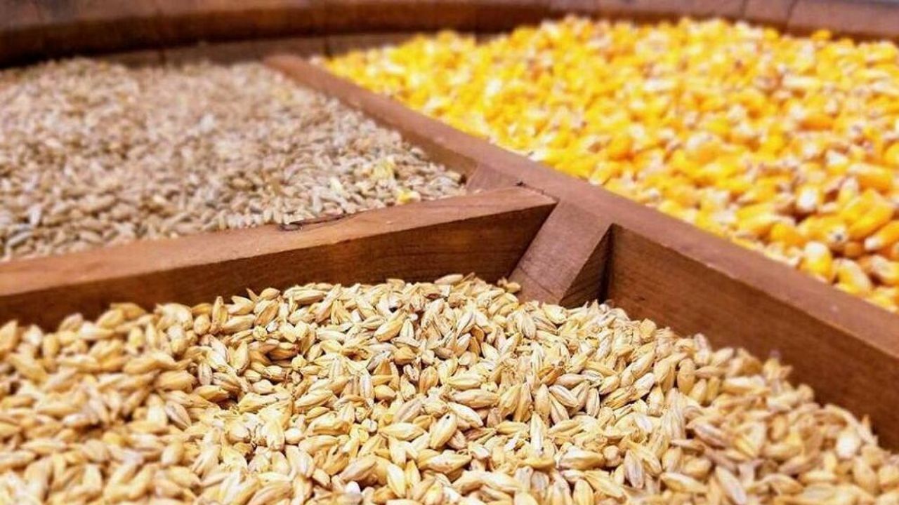 نهاده موجود در بنادر بیش از نیاز کشور است