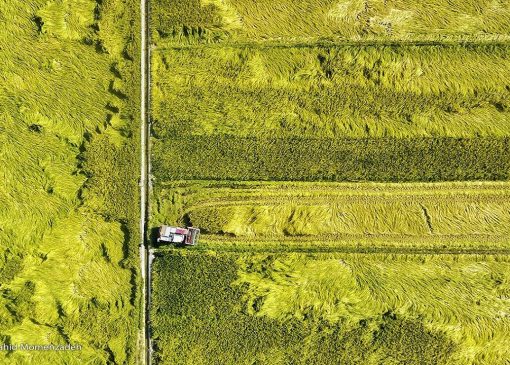 اثر بودجه سال آینده بر قیمت کالا‌های اساسی و معیشت خانوار