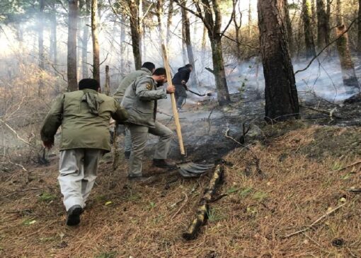 مهار آتش‌سوزی در جنگل‌های حاشیه منطقه حفاظت‌شده لیسار