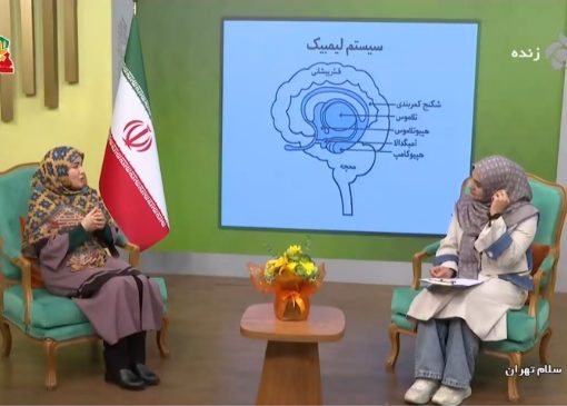 خشم قسمت حیوانی مغز انسان است + فیلم