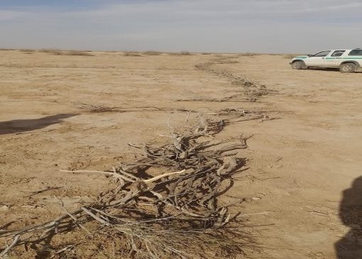 کشف تله ۱۰۰ متری زنده گیری گونه رو به انقراض در دشت مسیله