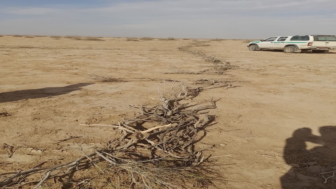 کشف تله ۱۰۰ متری زنده گیری گونه رو به انقراض در دشت مسیله