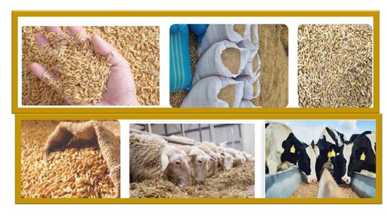 تقلب در فروش خوراک دام؛ فروشنده متقلب محکوم شد