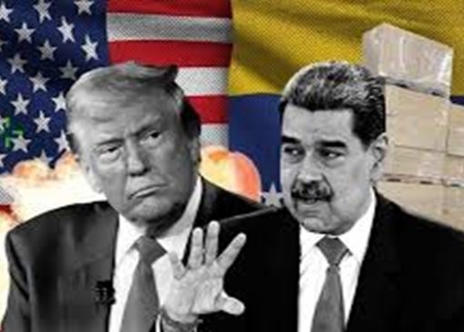 جهان خشمگین از سلطه قانون جنگل + فیلم