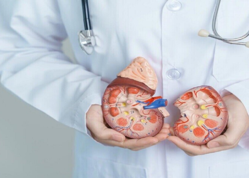 چرا بیماران مبتلا به بیماری پیشرفته کلیه مشکلات گوارشی جدی را تجربه می‌کنند؟
