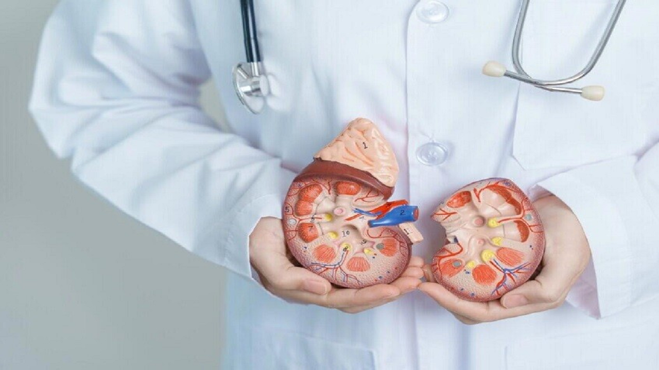 چرا بیماران مبتلا به بیماری پیشرفته کلیه مشکلات گوارشی جدی را تجربه می‌کنند؟
