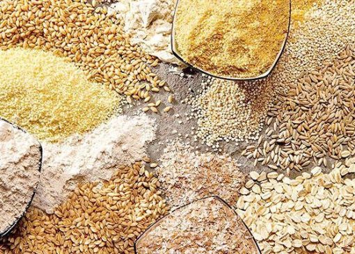 تامین سرمایه در گردش به فوریت باید پیگیری شود+فیلم