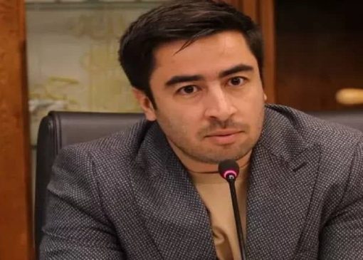 دستیار رئیس کل بانک مرکزی در امور ارزی منصوب شد