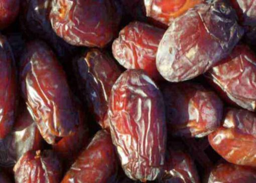 طلای کهربایی جهرم؛ خرمای شاهانی، از نخلستان‌ها تا بازار‌های جهانی