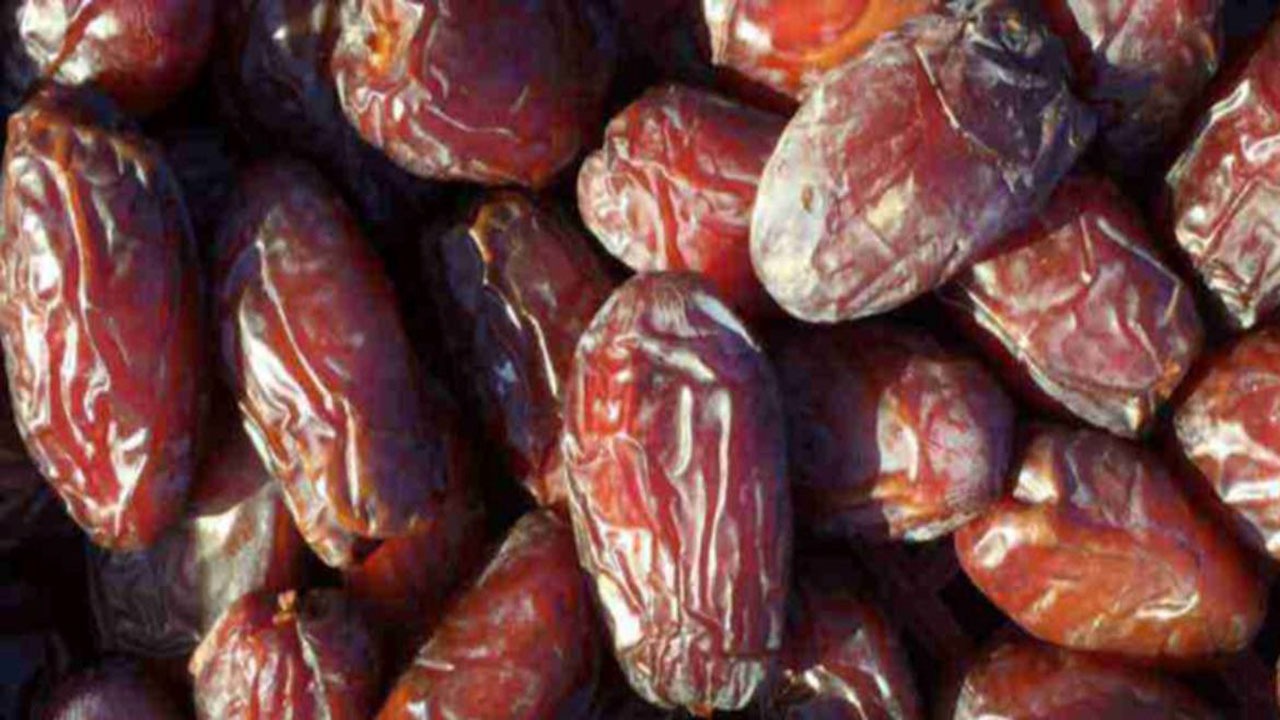 طلای کهربایی جهرم؛ خرمای شاهانی، از نخلستان‌ها تا بازار‌های جهانی