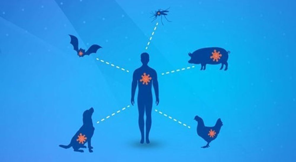 سه‌چهارم عفونت‌های نوظهور انسانی ریشه حیوانی دارند