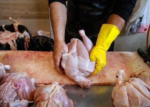 قیمت مرغ به ۲۱۰ هزارتومان کاهش رسید