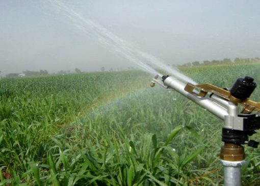 کردستان در مسیر اجرای سامانه‌های نوین آبیاری و کشاورزی پایدار ‏